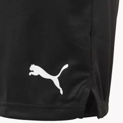 Puma Shorts -Puma Shop 2015655 H3