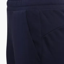 Puma Shorts -Puma Shop 2015767 H4