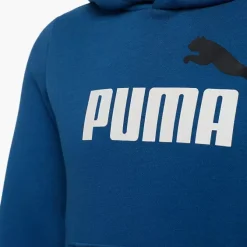Puma Hoodie -Puma Shop 2088022 H4