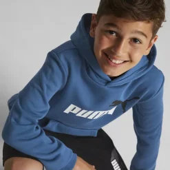 Puma Hoodie -Puma Shop 2088022 H6