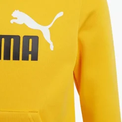 Puma Hoodie -Puma Shop 2088025 H4