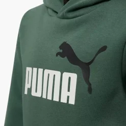 Puma Hoodie -Puma Shop 2088043 H3