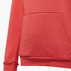 Puma Hoodie -Puma Shop 2088075 H3