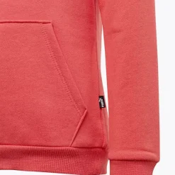 Puma Hoodie -Puma Shop 2088075 H4