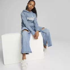 Puma Hoodie -Puma Shop 2088076 H6