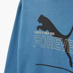 Puma Hoodie -Puma Shop 2163745 H3