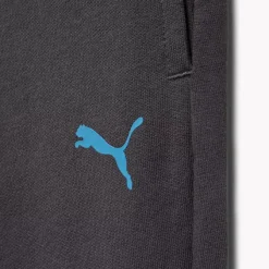 Puma Jogginghose -Puma Shop 2163791 H4