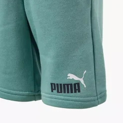 Puma Shorts -Puma Shop 2163793 H4