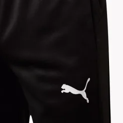 Puma Jogginghose -Puma Shop 2164026 H3